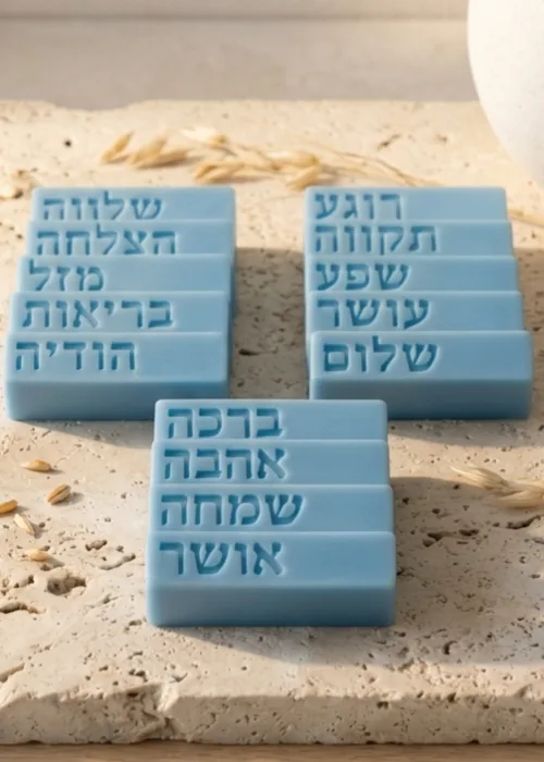 שם מוצר