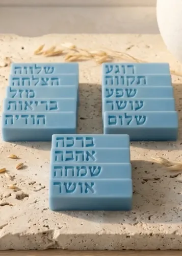 שם מוצר